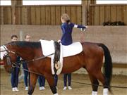 voltitag 2009 _CD1 093